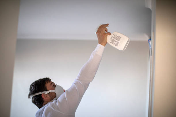 Best Fast Mold Removal  in Shenandoah, PA
