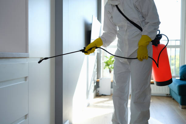 Best Commercial Mold Removal  in Shenandoah, PA