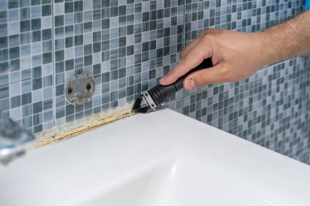 Best Mold Testing  in Shenandoah, PA