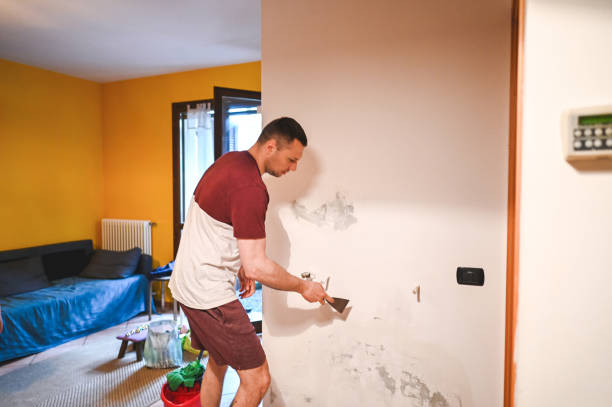 Best Professional Mold Removal  in Shenandoah, PA